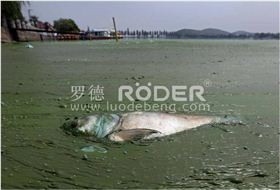 羅德凸輪轉(zhuǎn)子泵 羅德凸輪轉(zhuǎn)子泵