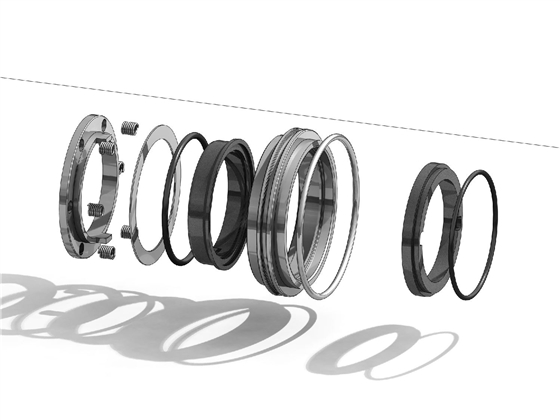 轉(zhuǎn)子泵機(jī)械密封 轉(zhuǎn)子泵機(jī)械密封