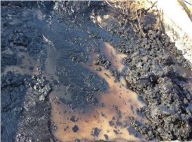 羅德轉(zhuǎn)子泵傳輸含顆粒無(wú)介質(zhì) 羅德轉(zhuǎn)子泵傳輸含顆粒無(wú)介質(zhì)