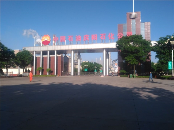 甘肅轉(zhuǎn)子泵污泥泵廠家 甘肅轉(zhuǎn)子泵污泥泵廠家