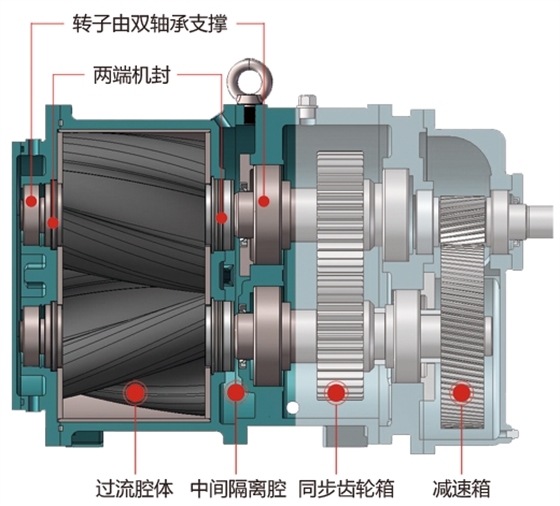 轉(zhuǎn)子泵雙支撐軸設(shè)計(jì) 轉(zhuǎn)子泵雙支撐軸設(shè)計(jì)