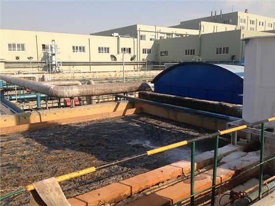 污水廠污泥 污水廠污泥