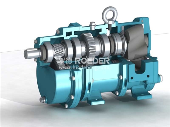 凸輪轉(zhuǎn)子泵維護(hù) 凸輪轉(zhuǎn)子泵維護(hù)