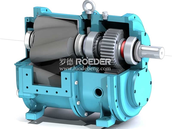 轉(zhuǎn)子泵 轉(zhuǎn)子泵