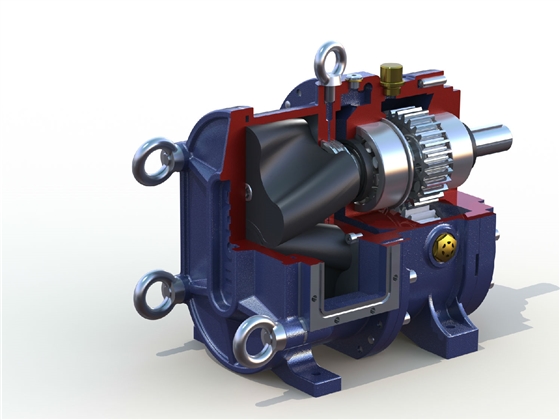 轉(zhuǎn)子泵效率影響因素 轉(zhuǎn)子泵效率影響因素