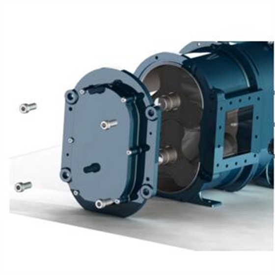 轉(zhuǎn)子泵側(cè)面圖 轉(zhuǎn)子泵側(cè)面圖