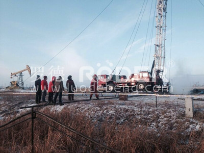 凸輪轉子泵 凸輪轉子泵