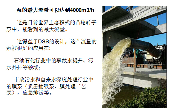 羅德凸輪轉(zhuǎn)子泵大流量 羅德凸輪轉(zhuǎn)子泵大流量