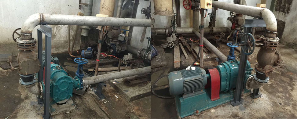 光大水務(wù)RDD100污泥輸送轉(zhuǎn)子泵 光大水務(wù)RDD100污泥輸送轉(zhuǎn)子泵