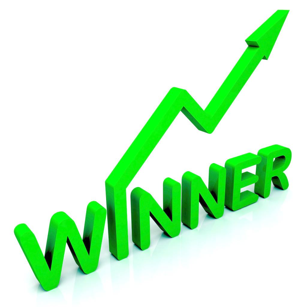 轉(zhuǎn)子泵銷售贏家 轉(zhuǎn)子泵銷售贏家