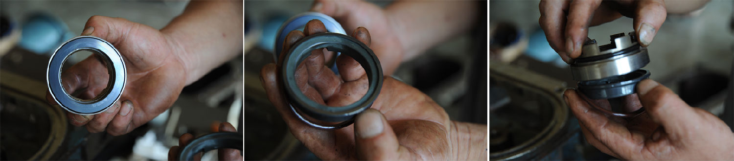 轉(zhuǎn)子泵機封 轉(zhuǎn)子泵機封