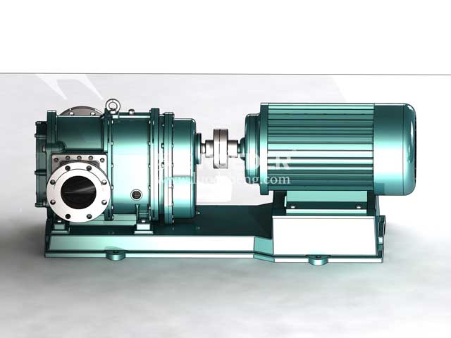 轉(zhuǎn)子泵 轉(zhuǎn)子泵