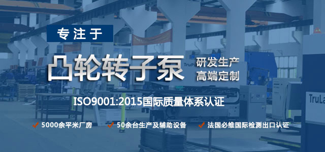 凸輪轉(zhuǎn)子泵生產(chǎn)廠家，專注于凸輪轉(zhuǎn)子泵的研發(fā)生產(chǎn)，高端定制